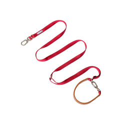 Bobo Series |Versatile Crossbody Pet Leash
